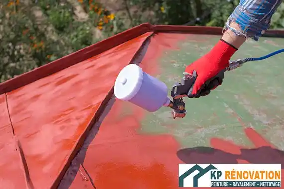 peinture toiture 78 95